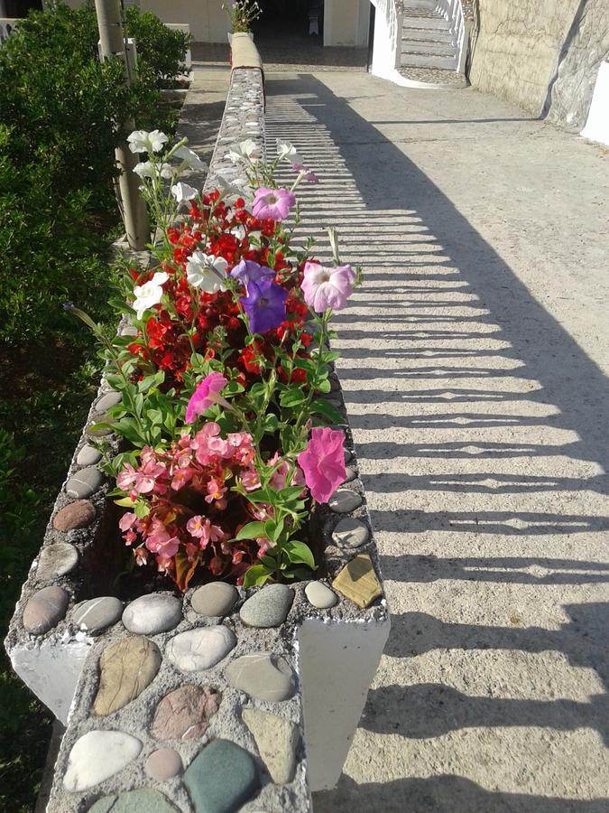 Beautiful View Apartment Kotor Bagian luar foto